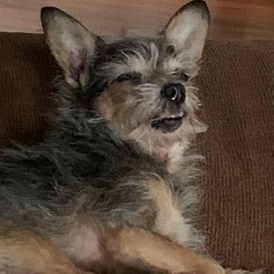 Meet your Posher, Tammy